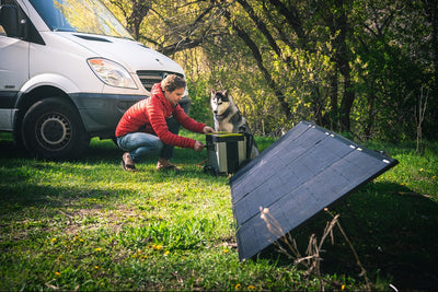 Back To Basics |  How to choose a Solar Panel